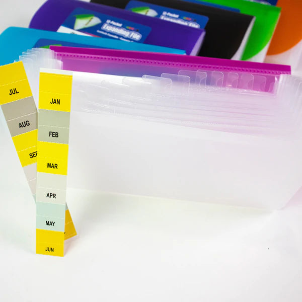 BAZIC 13-Pocket Check Size Poly Expanding File Sold in 24 Units