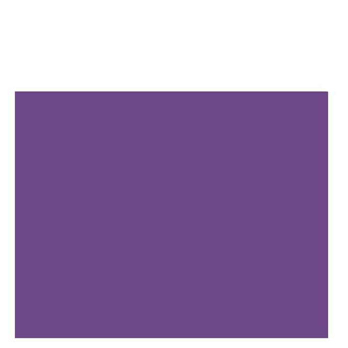 BAZIC 22" x 28" Purple Poster Boards Sold in 25 Units