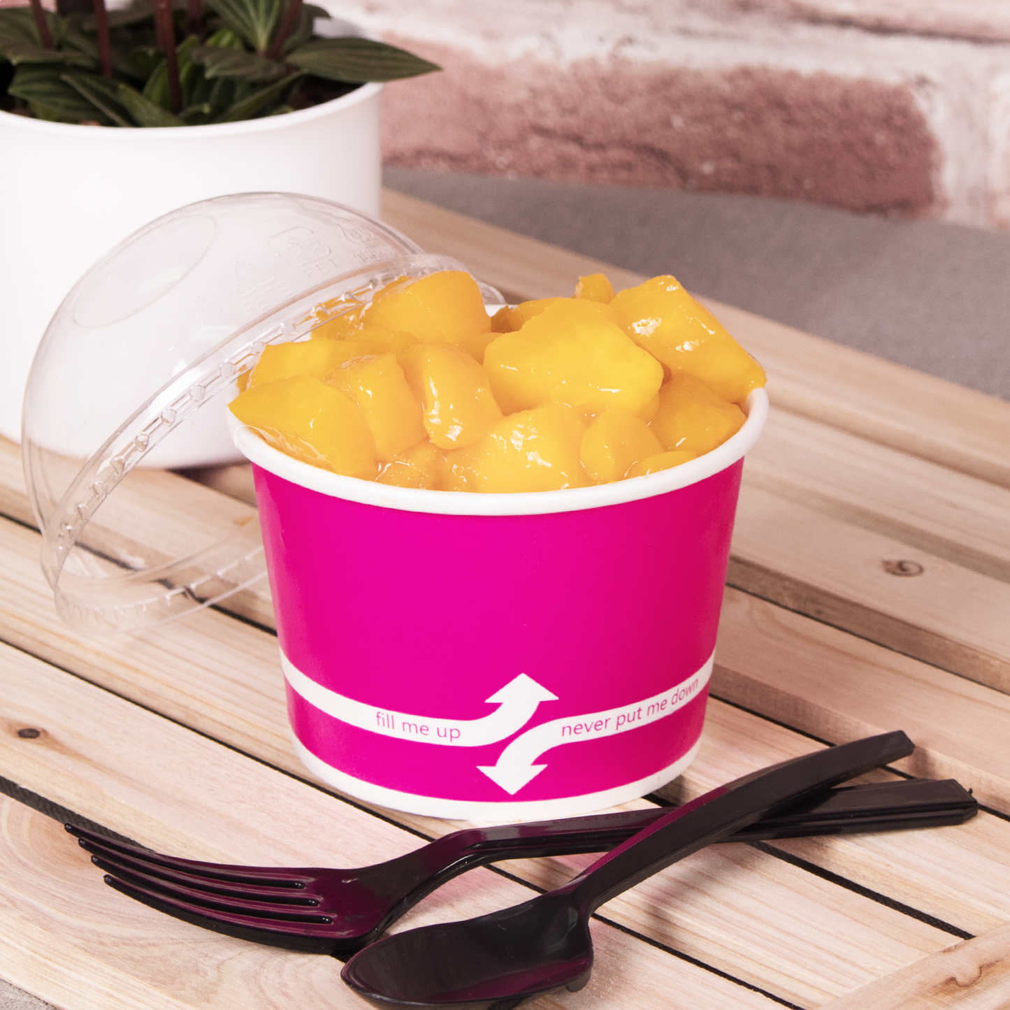 Karat 8oz Food Containers - Pink (95mm) - 1,000 ct, C-KDP8 (PINK)