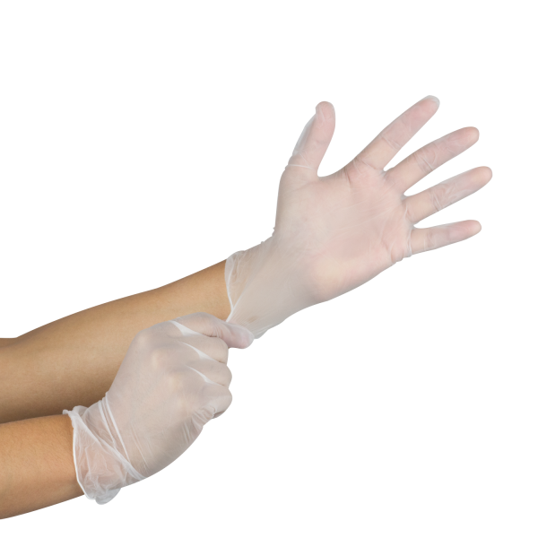 Karat Vinyl Powder-Free Gloves (Clear) - Medium - 1,000 ct