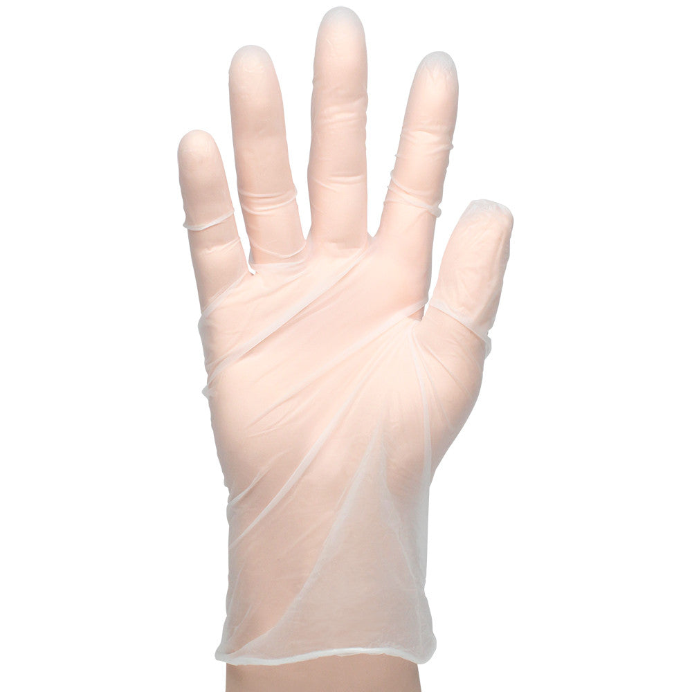 Karat Vinyl Powder-Free Gloves (Clear) - Large - 1,000 ct