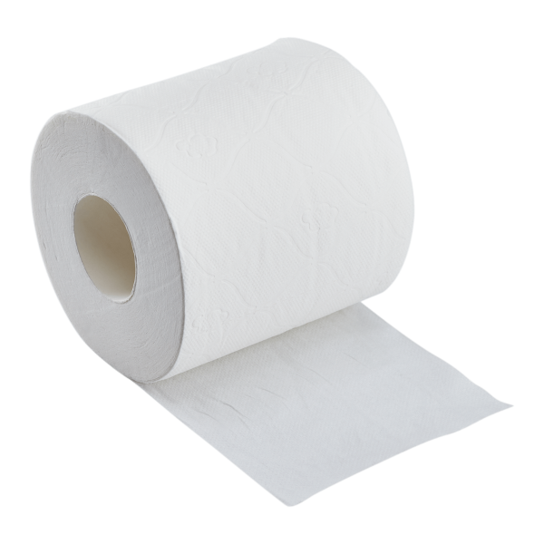 Karat Standard 2-ply Toilet Paper Rolls - 48 ct