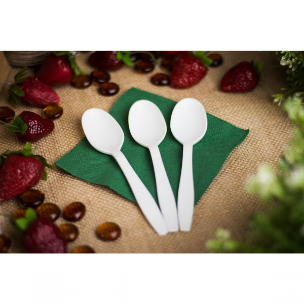 Karat Earth PLA Medium-Heavy Weight Compostable Tea Spoons Bulk Box - 1,000 ct