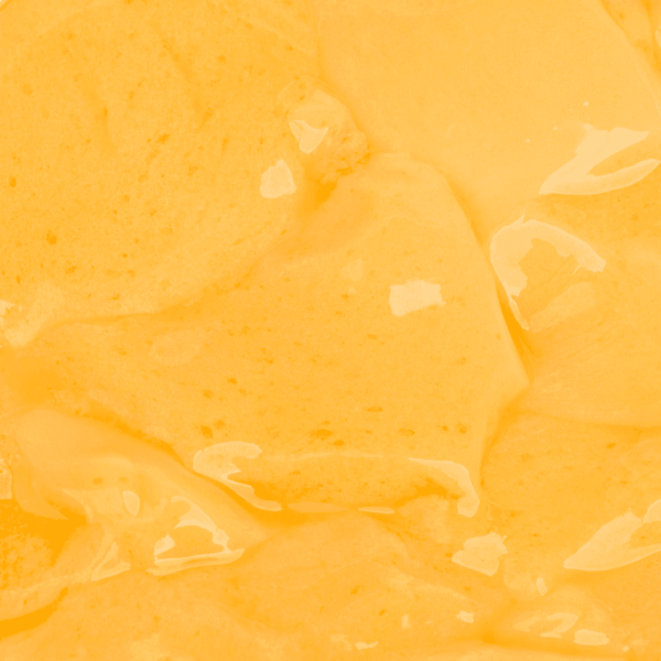 Tea Zone Custard Pudding Mix (2.2 lbs) Case Of 10
