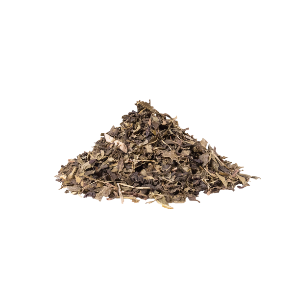 Tea Zone Premium Jasmine Green Tea Leaves - Case Of 25 Bags
