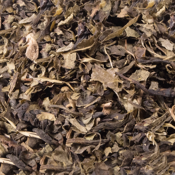 Tea Zone Premium Jasmine Green Tea Leaves - Case Of 25 Bags