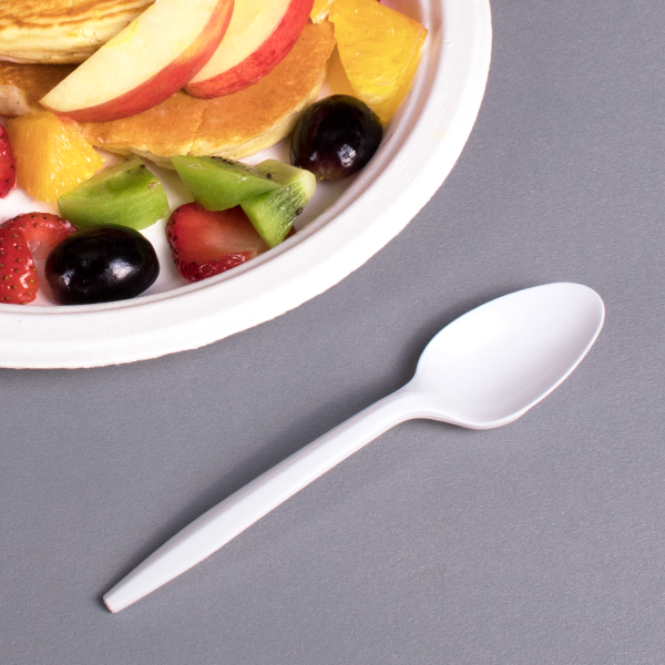 Karat PP Plastic Medium Weight Tea Spoons Bulk Box - White - 1,000 ct