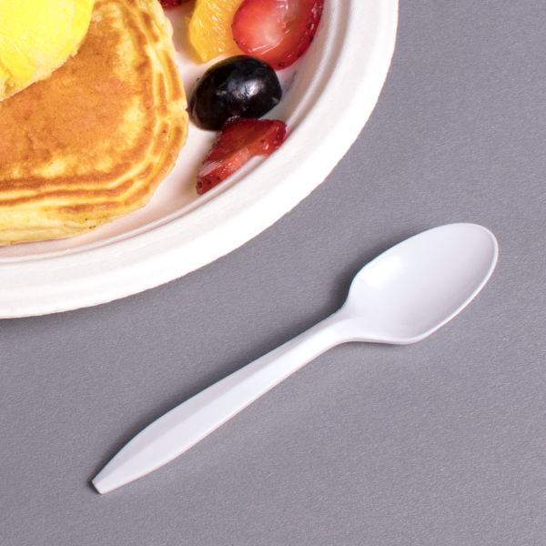 Karat PP Plastic Medium Weight Dessert Spoons Bulk Box - White - 1,000 ct