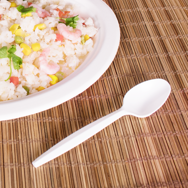 Karat PP Plastic Medium Heavy Weight Tea Spoons Bulk Box - White - 1,000 ct