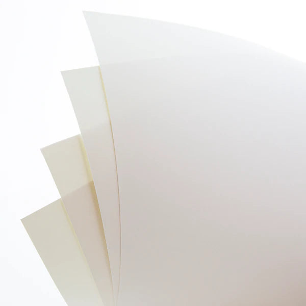 BAZIC 22" x 14" White Poster Boards (5/Pack) Sold in 48 Units