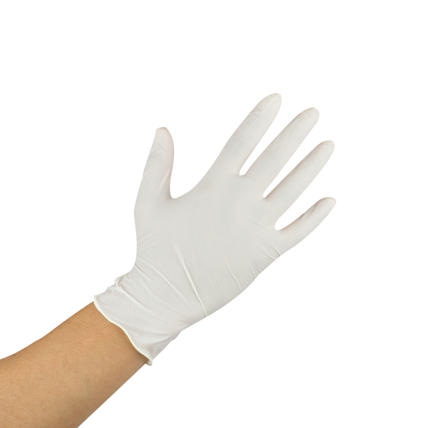 Karat Latex Powder-Free Gloves (Clear) - Medium - 1,000 ct