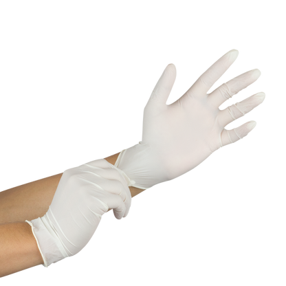 Karat Latex Powdered Gloves (Clear) - Large - 1,000 ct