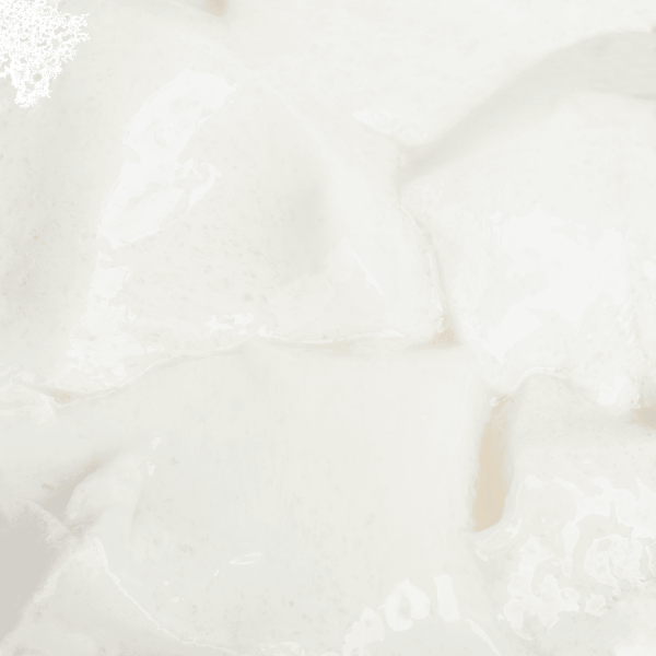 Tea Zone Milk Pudding Mix (2.2 lbs) Case Of 10