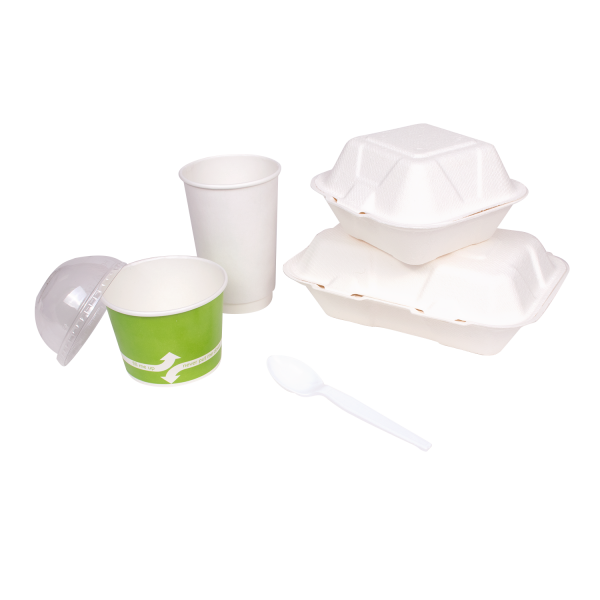 Karat PS Plastic Medium-Heavy Weight Tea Spoons Bulk Box - White - 1,000 ct